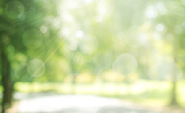istock Green blurred background with bright bokeh and sunlight. 1293280196