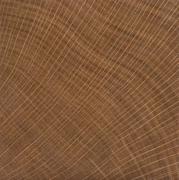オークのベニヤ。オークの木は切り傷、製材を見た - wood grain plywood wood textured ストックフォトと画像