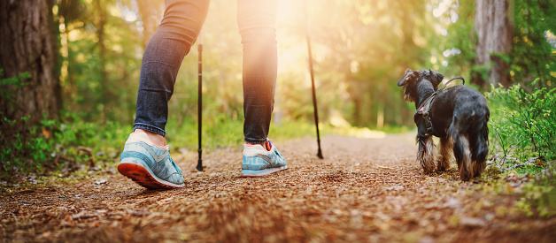 Young woman hiking and going camping in nature. Person with sticks and a dog walking and running in the forest