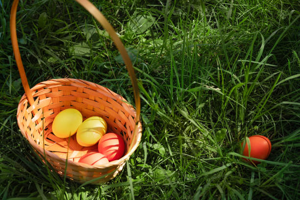 5.700+ Fotos, Bilder und lizenzfreie Bilder zu Ostereier Verstecken -  iStock | Ostereier suchen, Osterhase, Verstecken spielen