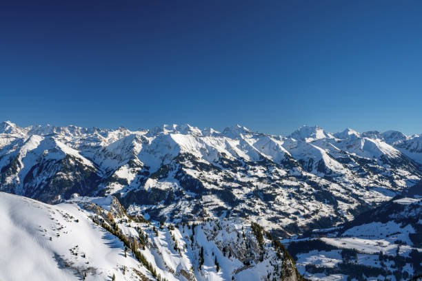 istock Panoramic view of the Alps mountains 1293284038