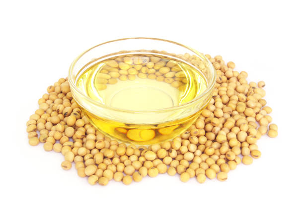 istock Soy oil in bowl and soybeans isolated 1293286334