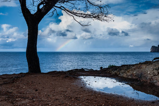 Mallorca, Spain. November 2014