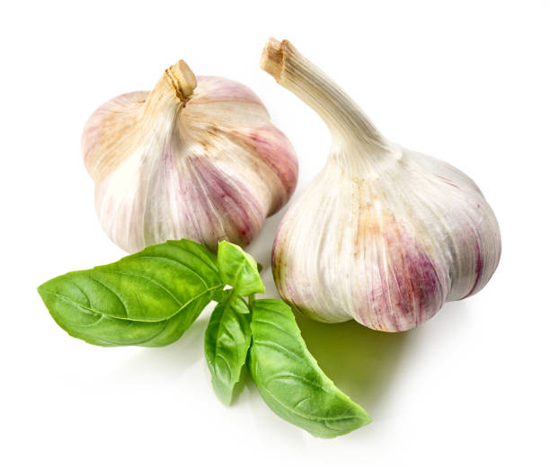 istock garlic and basil leaves isolated on white background 1293292461
