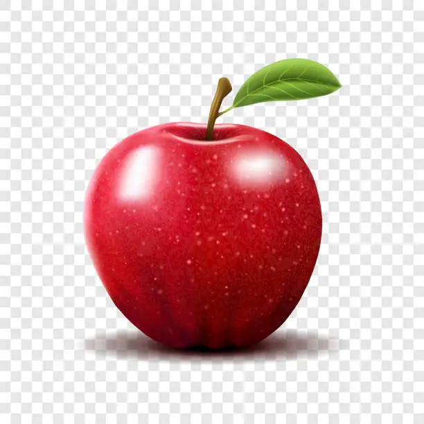 Vector illustration of Red Apple with Green Leaves on transparent background - Vector Illustration. Realistic vector