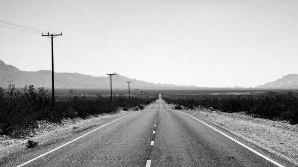 istock Lonely road in the desert 1293293500