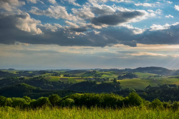 istock beautiful green landscape with hills fields and clouds on the sky while hiking 1293294309