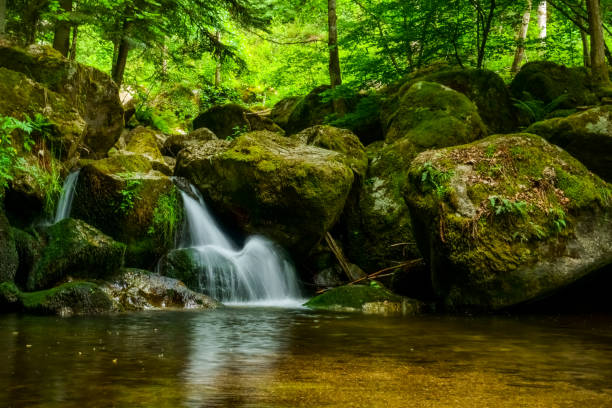 istock beautiful little waterfall flows in a shallow water 1293294324