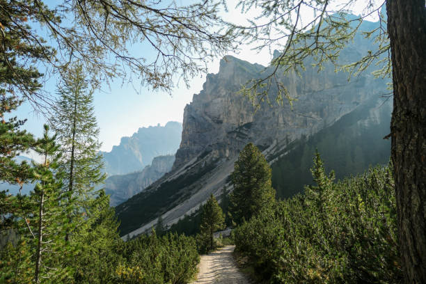 pragser wildsee - вид на крутую горную стену в итальянских доломитовых альпах. за ним еще одна горная цепь. - croda rossa стоковые фото и изображения