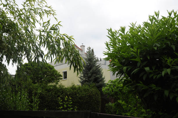 istock apartment without light because of strong plant growth 1293300777