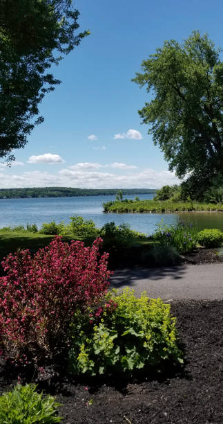 istock Conesus lake in the summer. 1293300788