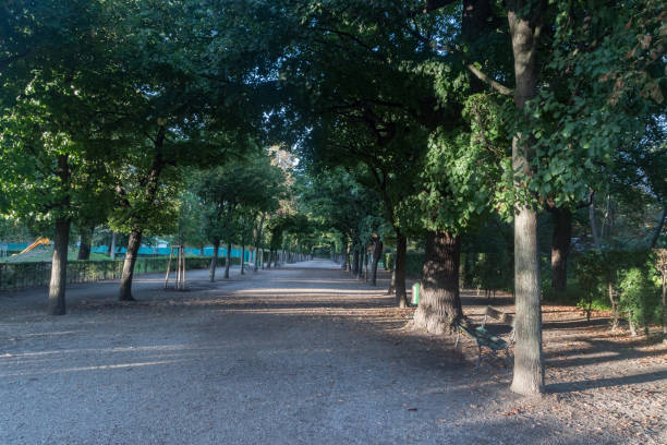 aleja z drzewami w parku augarten w wiedniu, austria. - lane sunlight sunbeam plant zdjęcia i obrazy z banku zdjęć