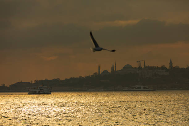istock Sunset Lights and Bird Uskudar Istanbul 1293301950