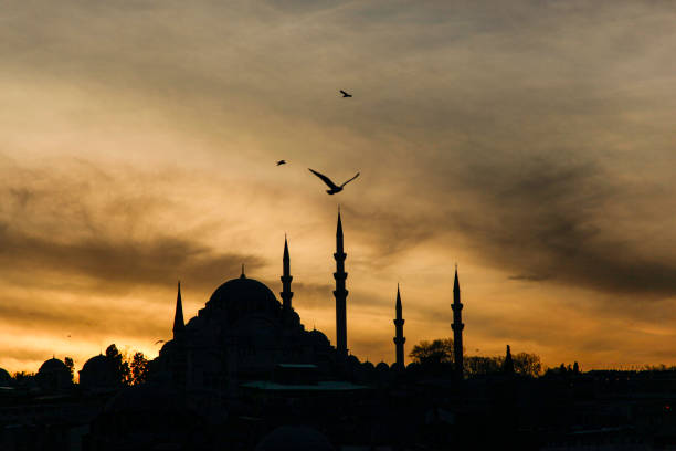 istock Sunset Colors Istanbul Turkey 1293302122