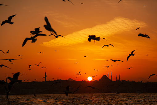 Sunset Colors in Istanbul Fatih Istanbul Turkey