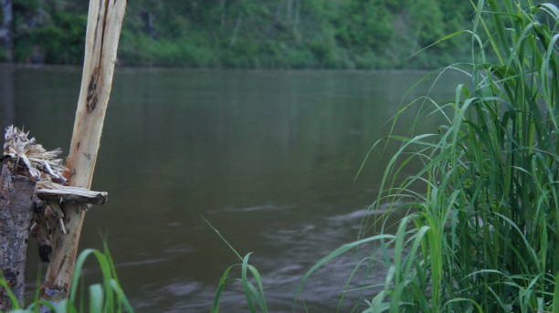 istock Twilight on the river, evening on the river 1293303582