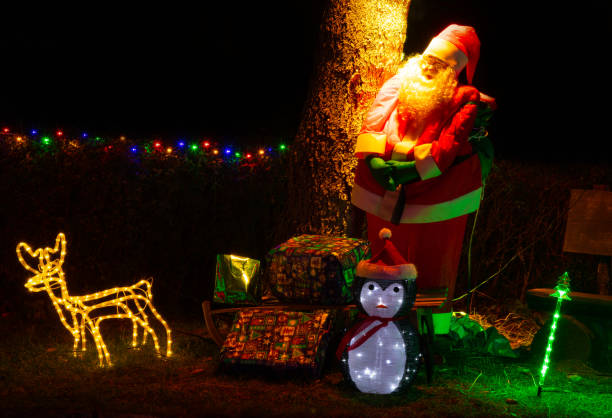 istock Christmas decoration in the garden 1293306494