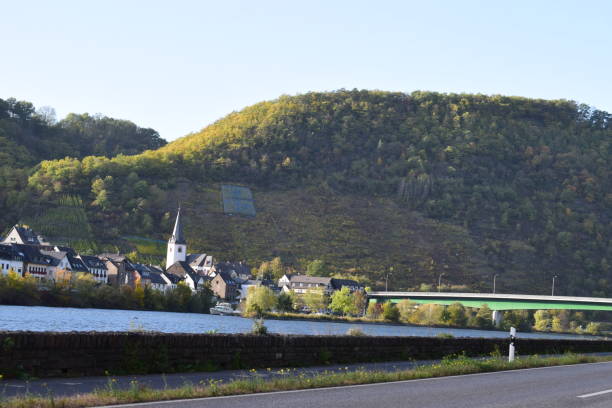 istock Mosel valley with a village behind the river 1293306499