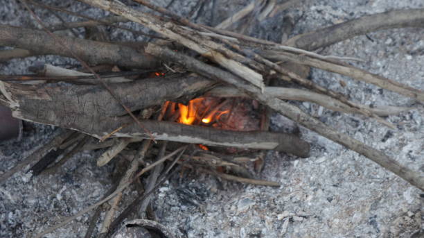 istock Bonfire in the taiga, the fire is getting hot 1293307589
