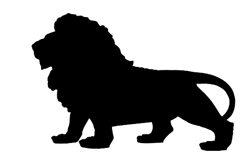Lion black silhouette. Vector illustration.