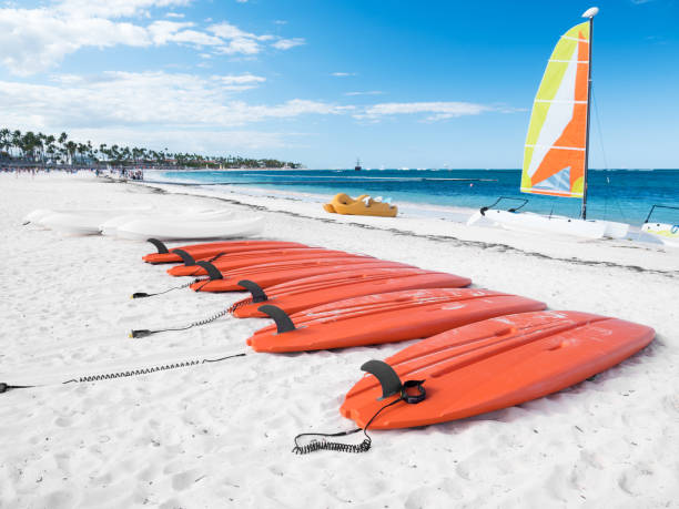 istock Paddles boards and windsurfs on tropical beach 1293310741