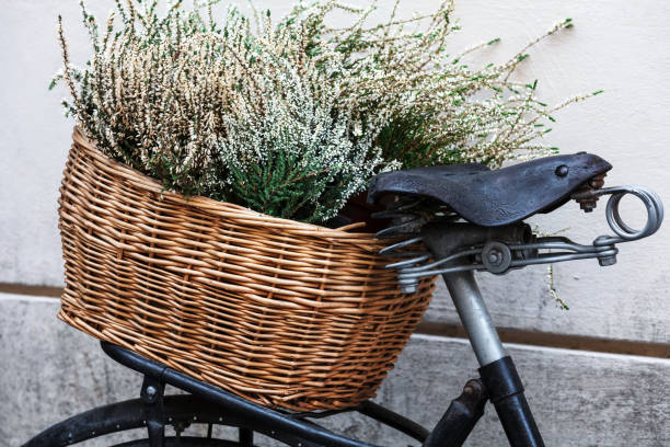 old bike with flowers on a white wall background