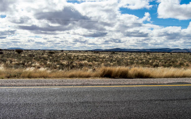 istock Beautiful Kalahari Landscape 1293313136