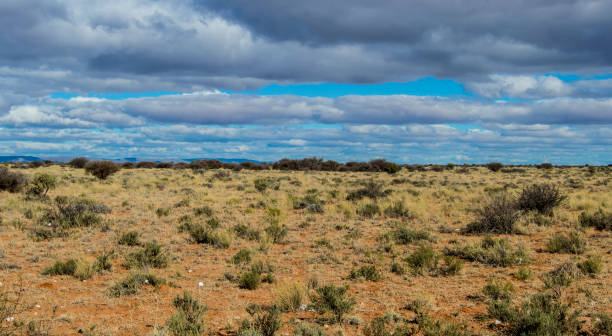 istock Beautiful Kalahari Landscape 1293313375