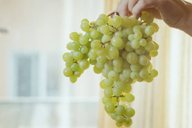 istock delicious fresh summer green grapes 1293316932