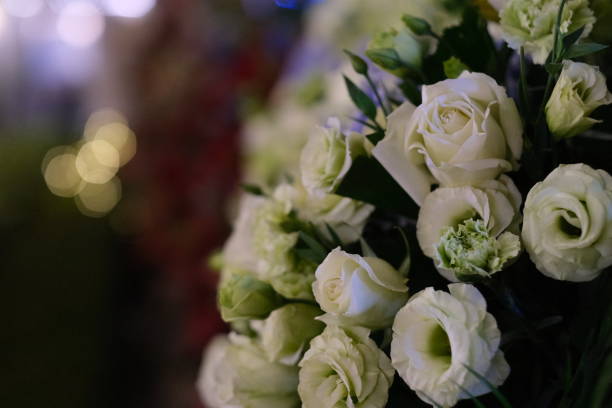 istock white green roses at night 1293317256