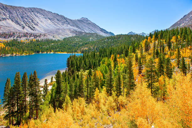 istock Rock Creek road lakes 1293318320