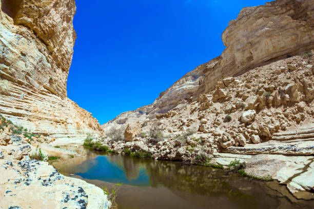istock The puddle in the canyon 1293318334