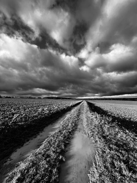 istock cloudy weather in the countryside, muddy road 1293318951