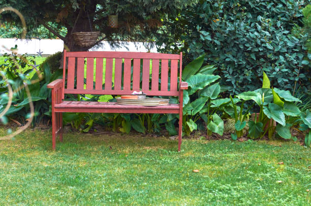 istock Wooden Bench in garden 1293318962