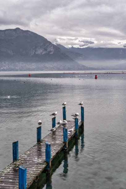 istock Lakeside Annecy Australia 1293321567