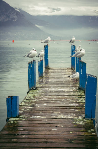 istock Lakeside Annecy Australia 1293321569