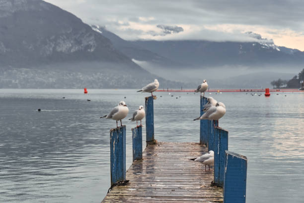 istock Lakeside Annecy Australia 1293321571