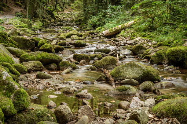 istock On the way to the Geroldsauer Waterfall, Baden-Wuerttemberg, Germany 1293323365