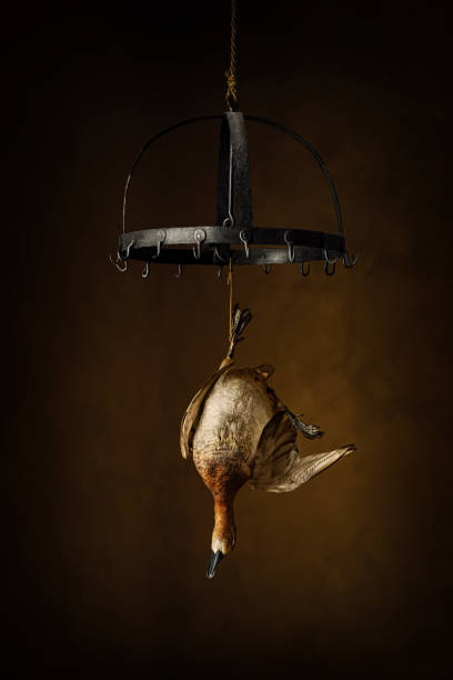 Duck hanging in the kitchen - fotografia de stock