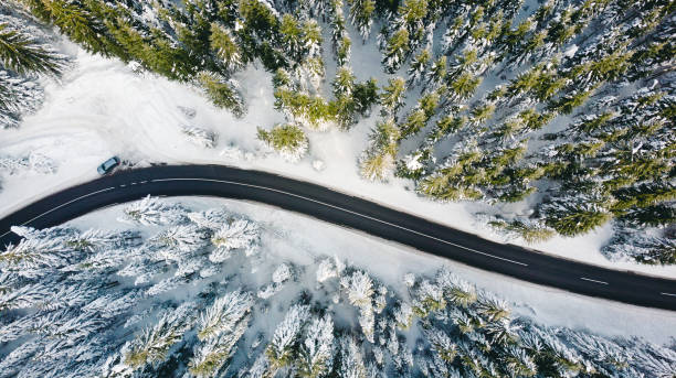 istock Curvy windy road in snow covered forest, top down aerial view 1293324181