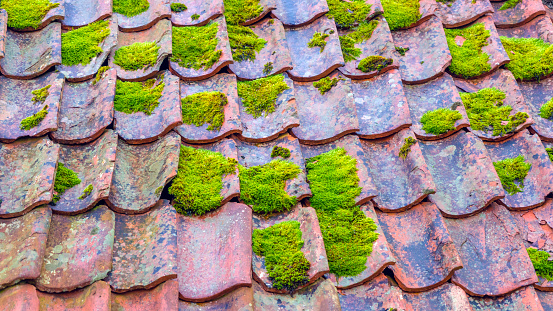 The old wooden tile laid on a roof with a moss.