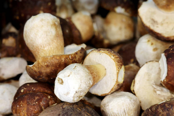 istock White mushrooms on the market 1293326698
