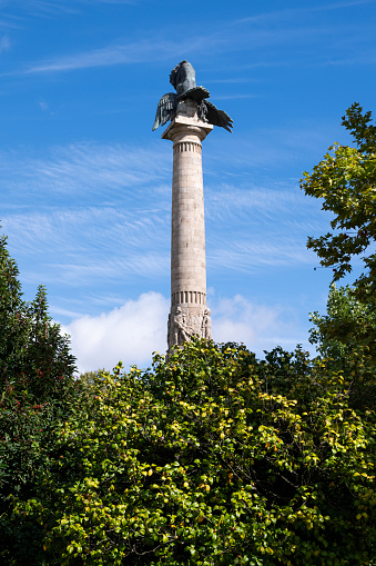 Boavista roundabout monument. Statue of a lion defeating an eagle. Trees around the monument. Blue sky. Porto, Portugal.