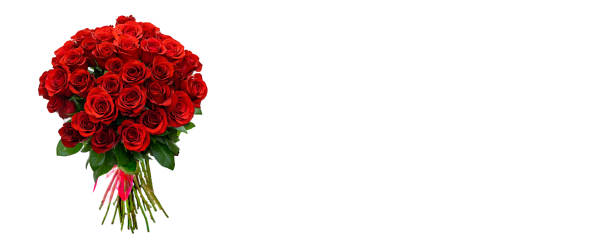 bukiet czerwonej róży wyizolowany na białym tle - rose anniversary flower nobody zdjęcia i obrazy z banku zdjęć