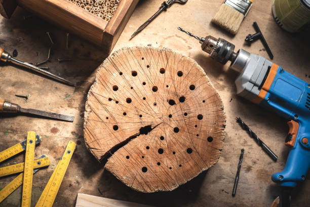 istock Insect hotel and work tools on wooden table 1293334169