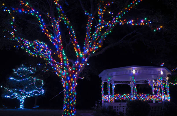 istock Christmas Lights in City Park 1293334564