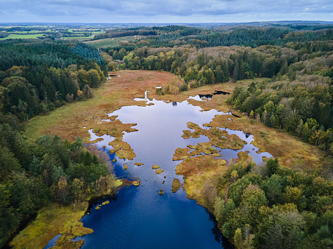 High angle landscape view to the bog in the forest