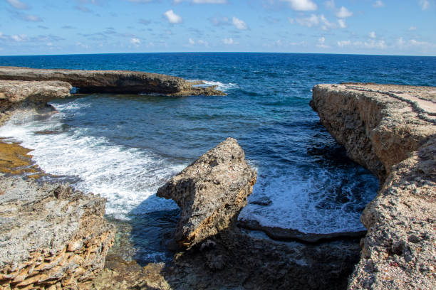 istock rough coast of Curacao caribbean sea 1293335732