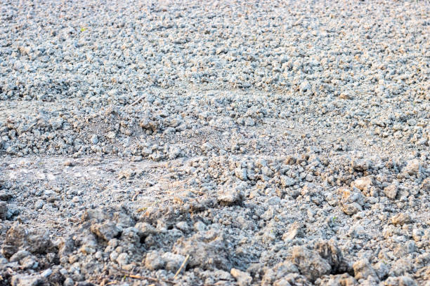 istock Preparing soil for plant new crops, plowed and dug soil for background 1293336600