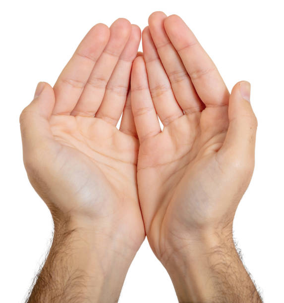 istock Male empty cupped hands isolated on white background 1293338130